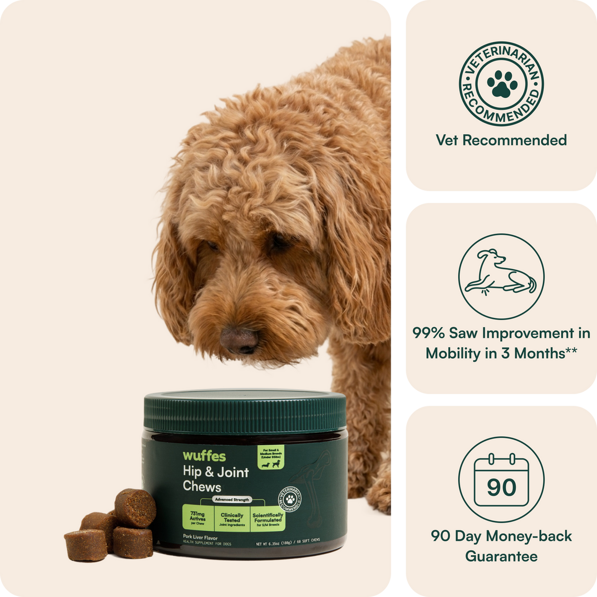 Hip & Joint Supplement Chews for Dogs