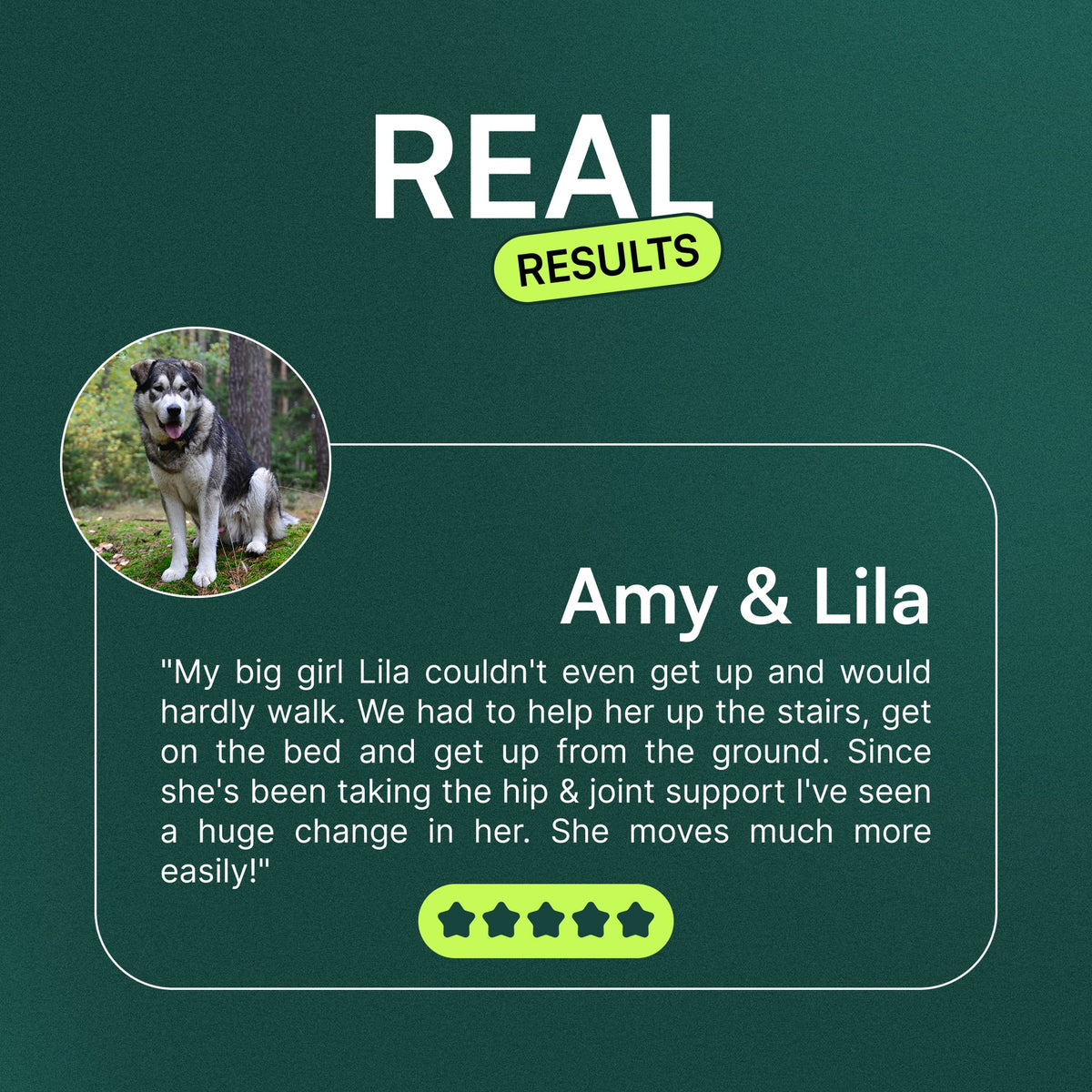Hip & Joint Supplement Chews for Dogs