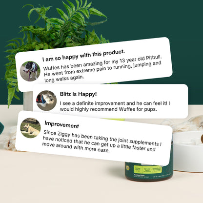 Hip & Joint Supplement Chews for Dogs
