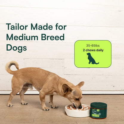 Hip & Joint Supplement Chews for Dogs