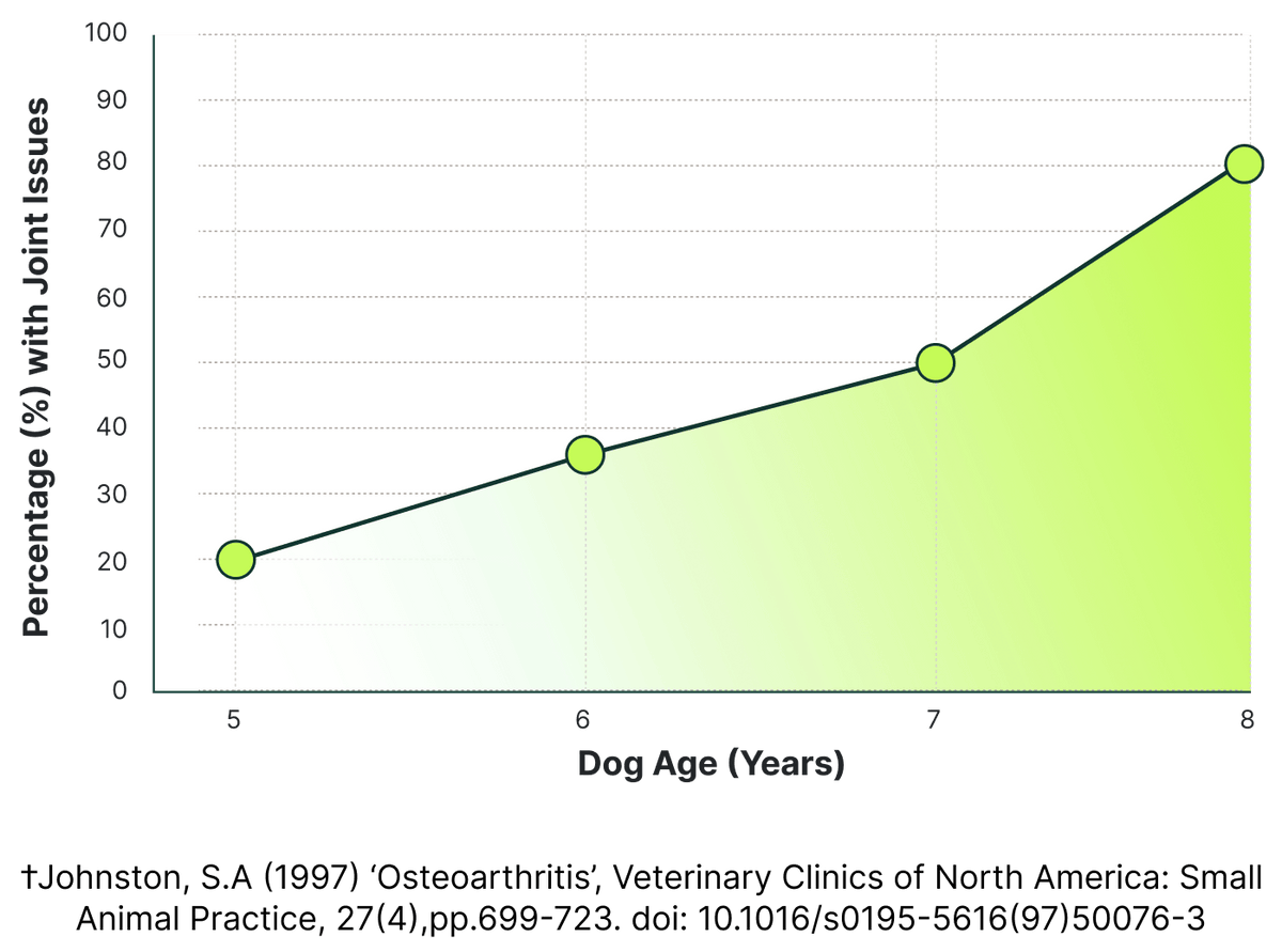 80% of dogs over 8 have joint problems